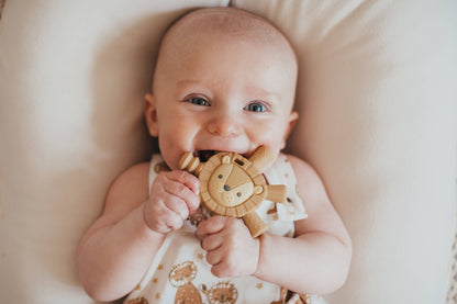 Ritzy Teether™ Baby Molar Teether